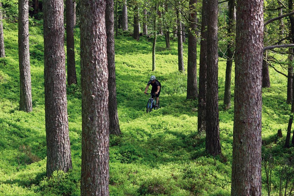 Vallasens Vaerdshus Stf Hostel Våxtorp エクステリア 写真